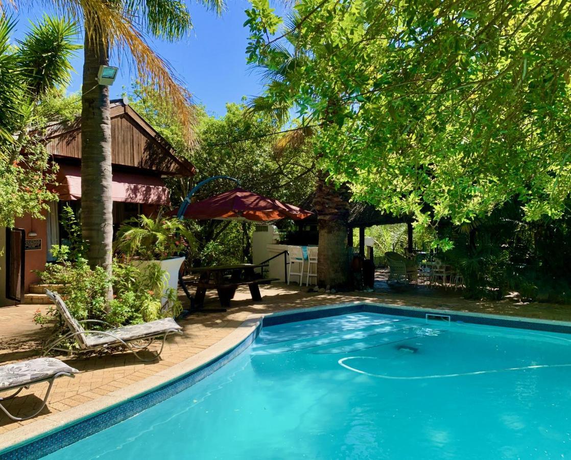 The Little Hideaway Guesthouse Στέλενμπος Εξωτερικό φωτογραφία