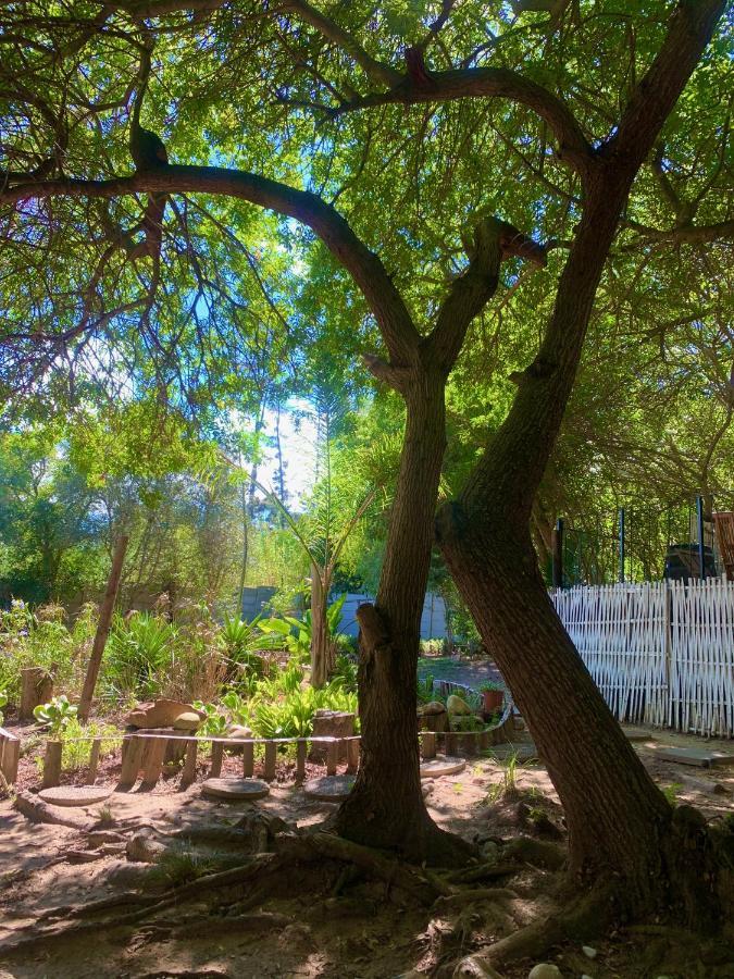 The Little Hideaway Guesthouse Στέλενμπος Εξωτερικό φωτογραφία