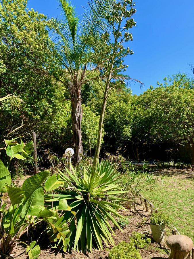 The Little Hideaway Guesthouse Στέλενμπος Εξωτερικό φωτογραφία